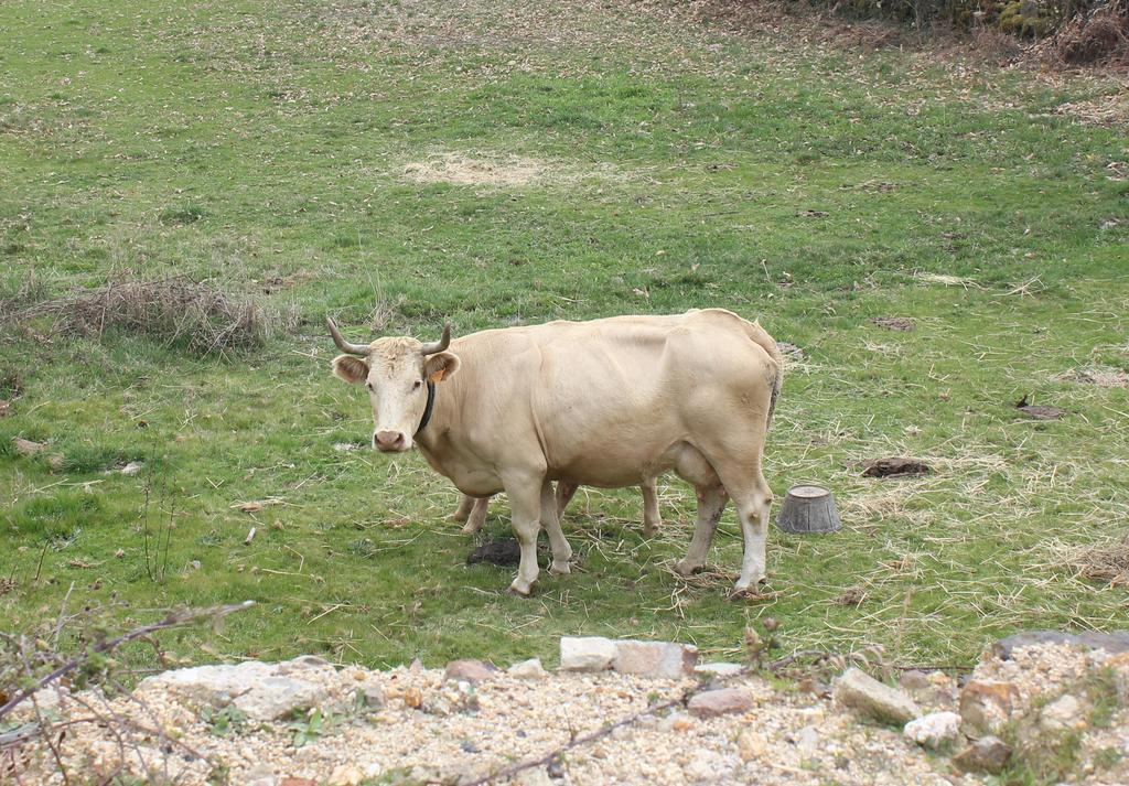 Casa Rural La Calzada El Payo Екстериор снимка